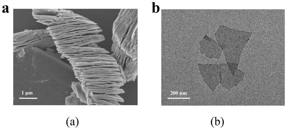 Multifunctional photo-thermal diagnosis and treatment agent based on 2DTi3C2MXene nanosheet as well as preparation method and application of multifunctional photo-thermal diagnosis and treatment agent