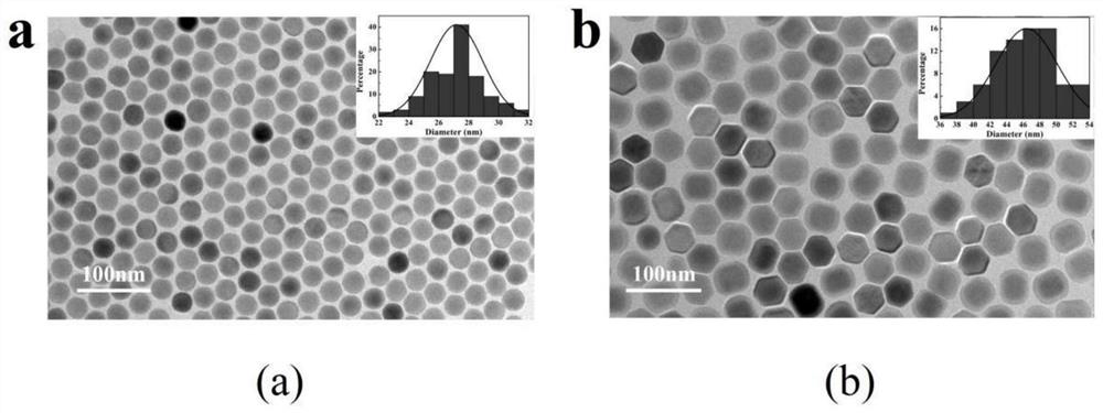 Multifunctional photo-thermal diagnosis and treatment agent based on 2DTi3C2MXene nanosheet as well as preparation method and application of multifunctional photo-thermal diagnosis and treatment agent