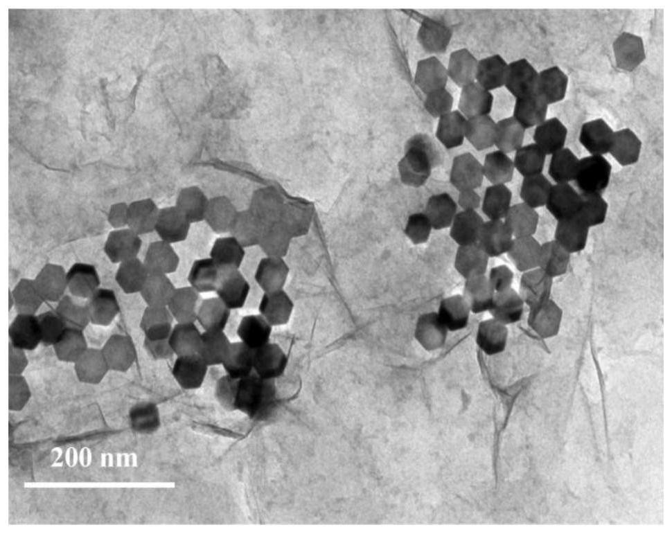 Multifunctional photo-thermal diagnosis and treatment agent based on 2DTi3C2MXene nanosheet as well as preparation method and application of multifunctional photo-thermal diagnosis and treatment agent