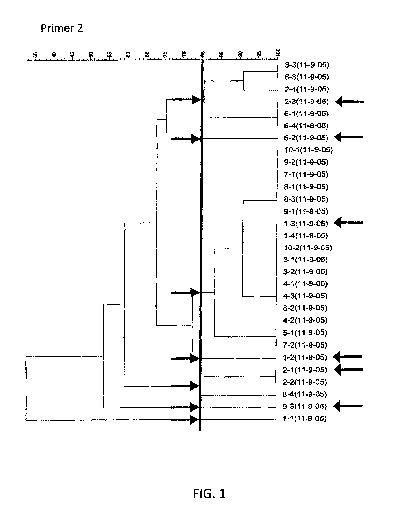 Methods of treating pigs with <i>Bacillus </i>strains