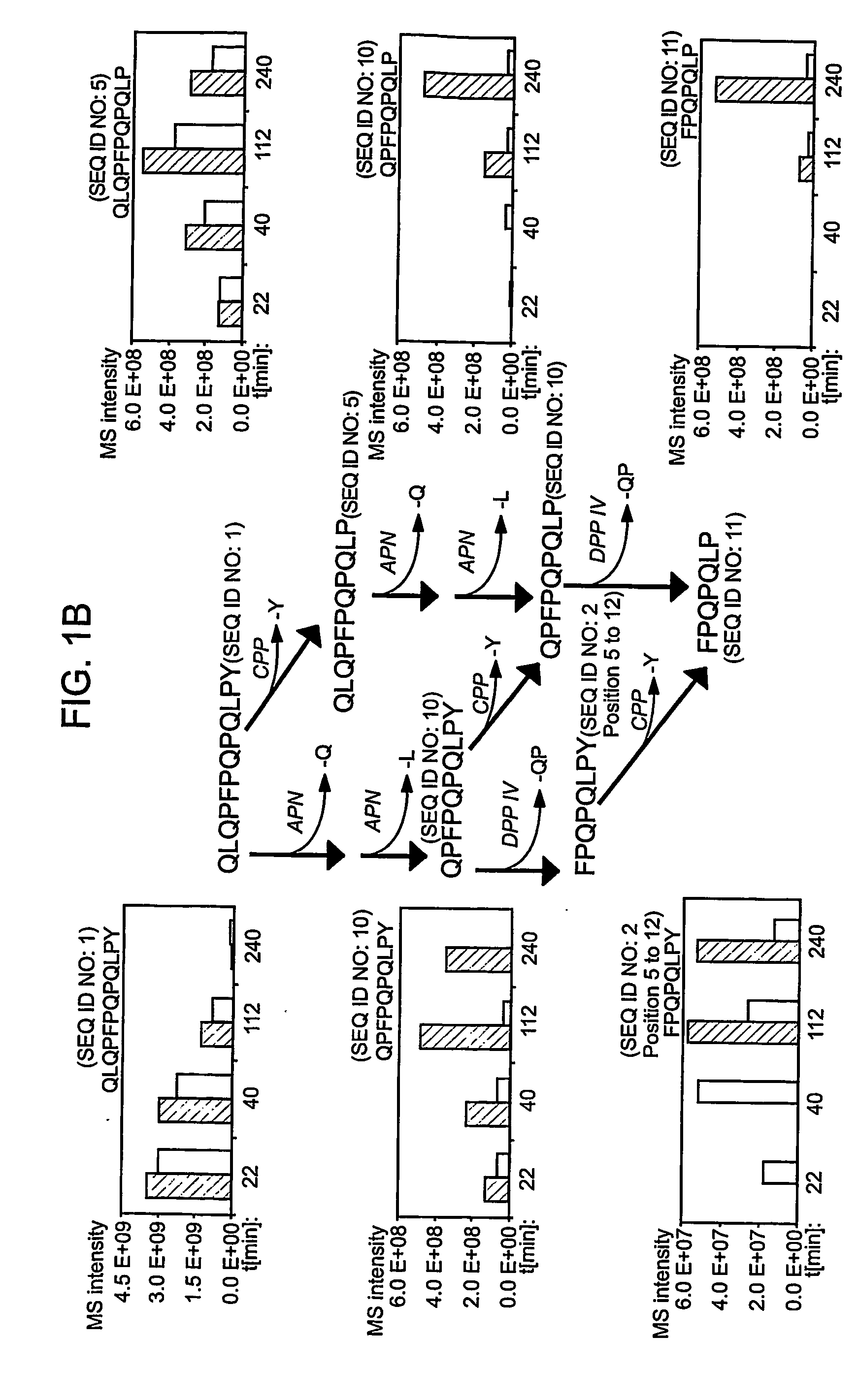 Diagnostic method for celiac sprue