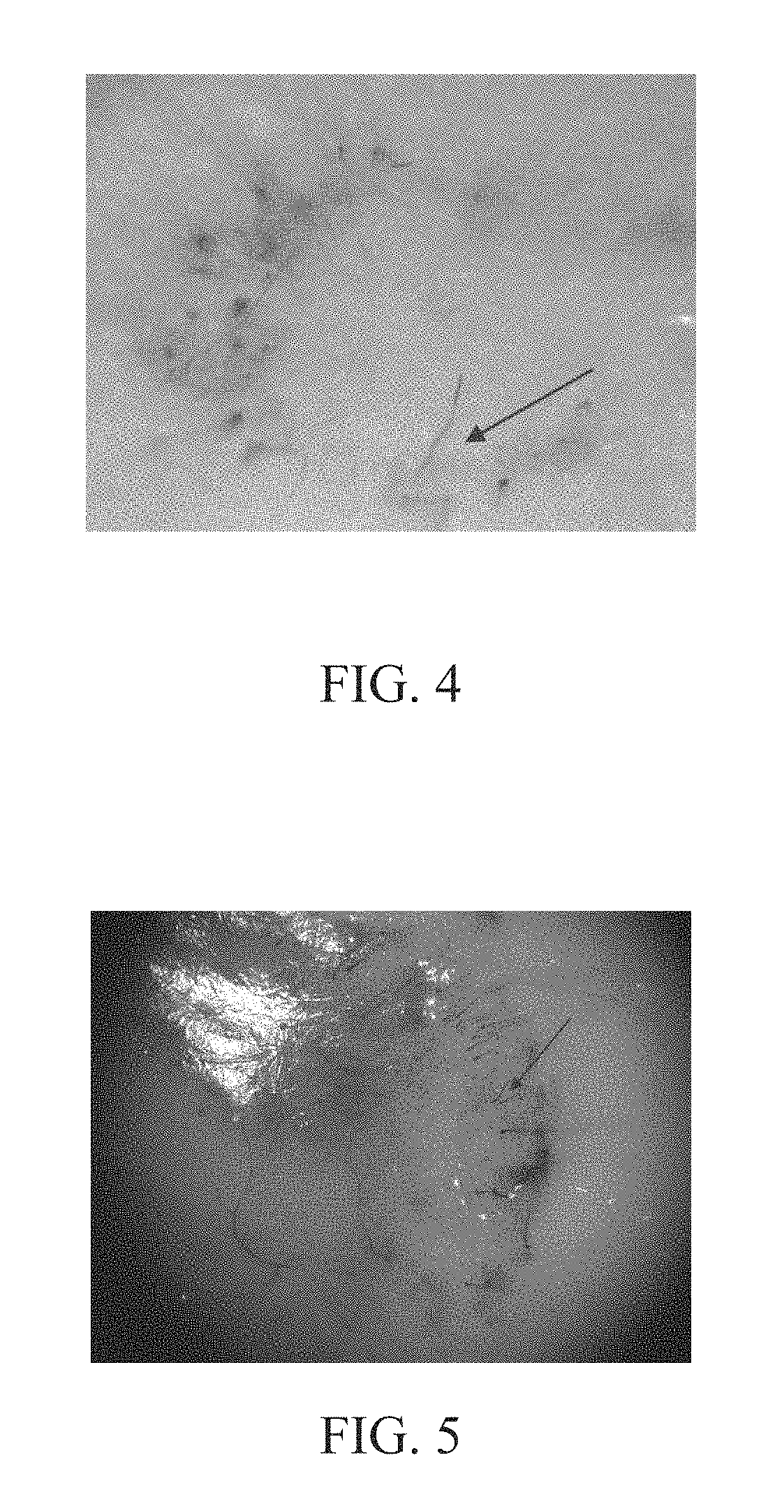 Method and composition of inducing hair follicle neogenesis