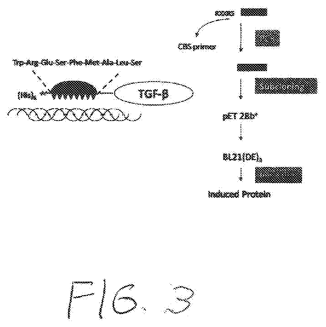 Use of collagen binding domains to deliver products to skin