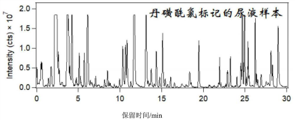 Hydroxyl metabolite derivatization method and non-targeted metabonomics efficient analysis method