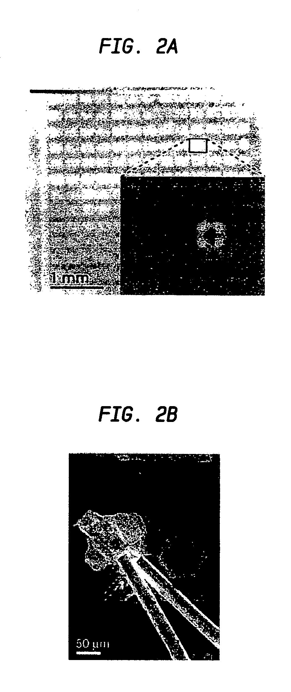 Unipolar, intraband optoelectronic transducers with micro-cavity resonators