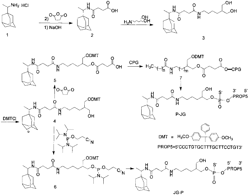 Structure, preparation method and purpose of anti-influenza virus oligonucleotide