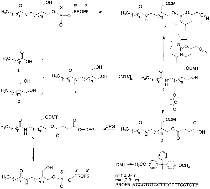 Structure, preparation method and purpose of anti-influenza virus oligonucleotide