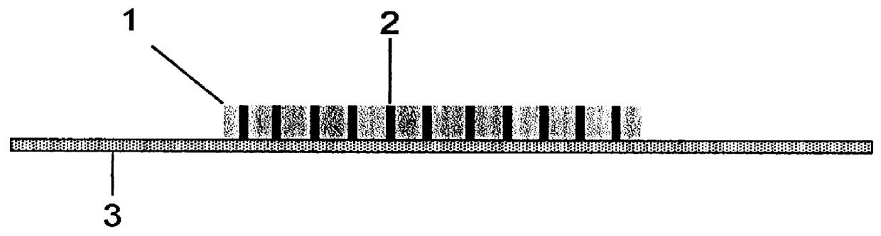 Combination collar