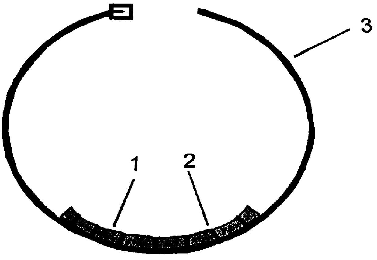 Combination collar