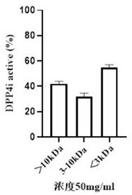 Horse milk-derived small molecule peptide and application thereof