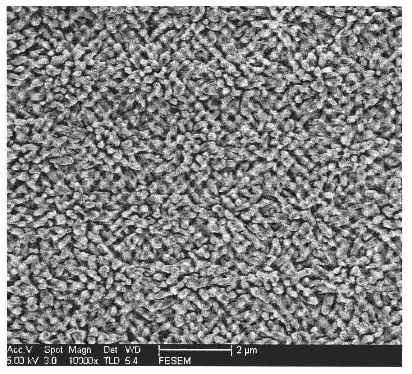 Zinc oxide micro/nano composite structure array film and preparation method thereof