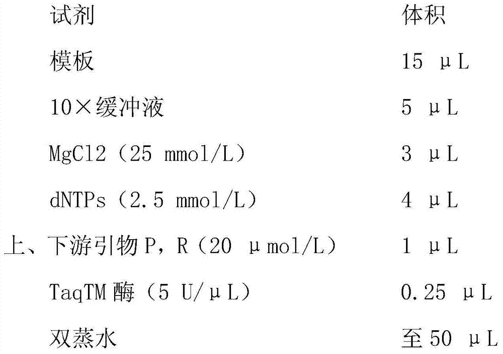 Preparation method of anti-canine parvovirus protein VP2 specific IgY