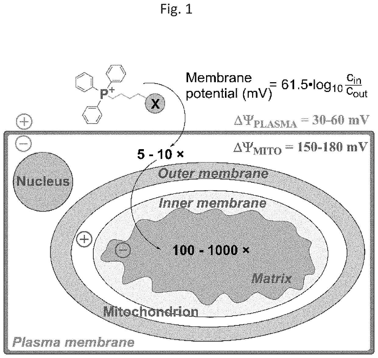 Targeting Redox-Active Pyridinium Cations to Mitochondria to Inhibit Proliferation of Drug-Resistant Cancer Cells