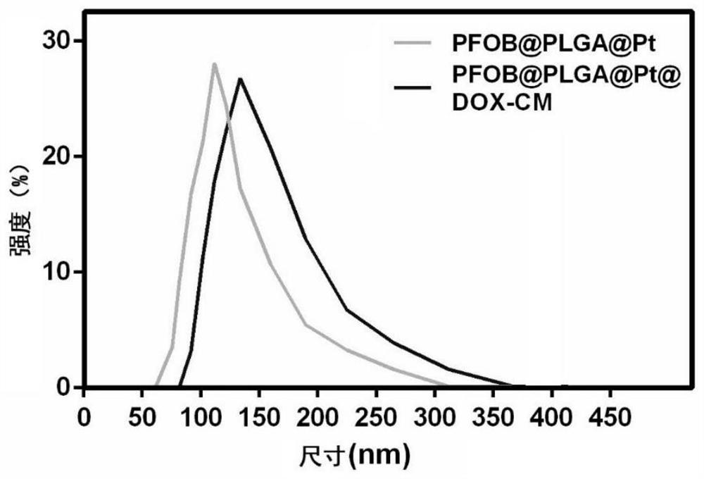 Bionic drug-loading nano-system combining cell membrane antagonism with nano-enzyme, preparation method and application