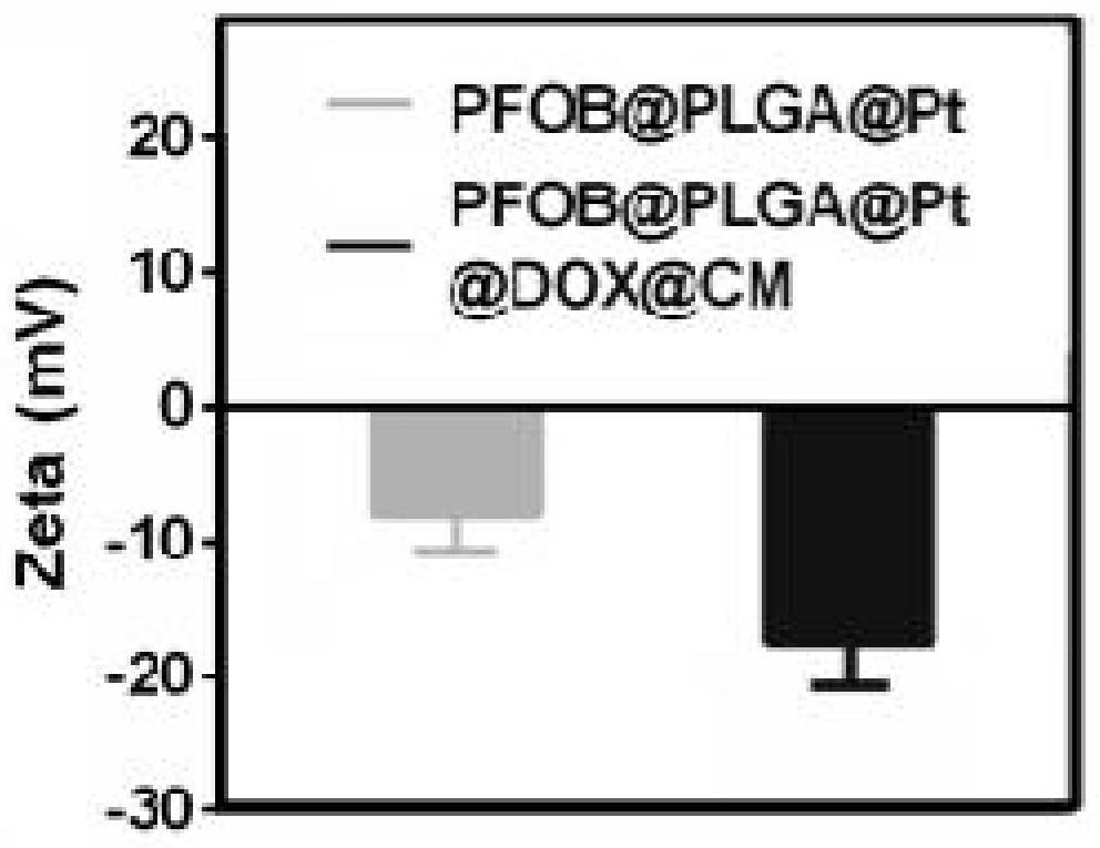 Bionic drug-loading nano-system combining cell membrane antagonism with nano-enzyme, preparation method and application