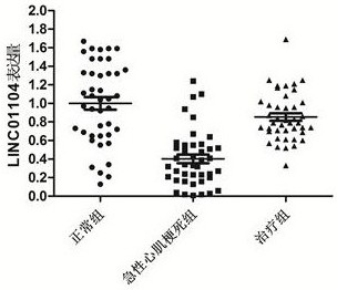 A lncRNA marker and its application in the diagnosis of acute myocardial infarction