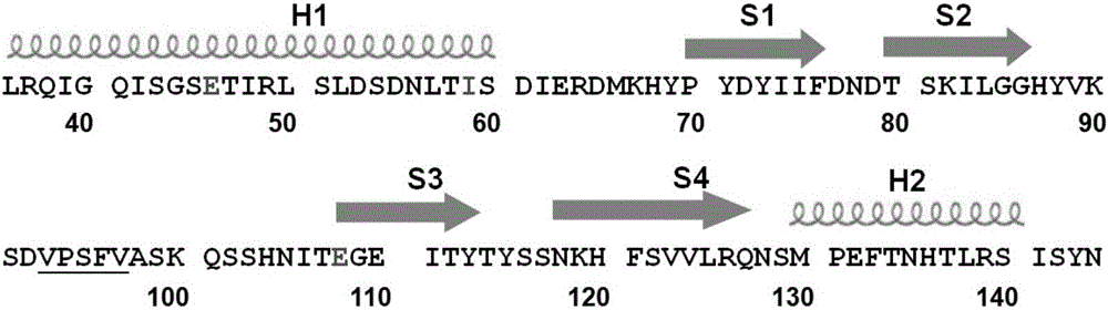 Method for improving nisin induction efficiency in lactic acid bacteria NICE expression system