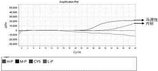 Primer probe composition for identifying sources of animals including donkeys, horses and foxes, kit and multiplex real-time fluorescence quantitative PCR detecting method