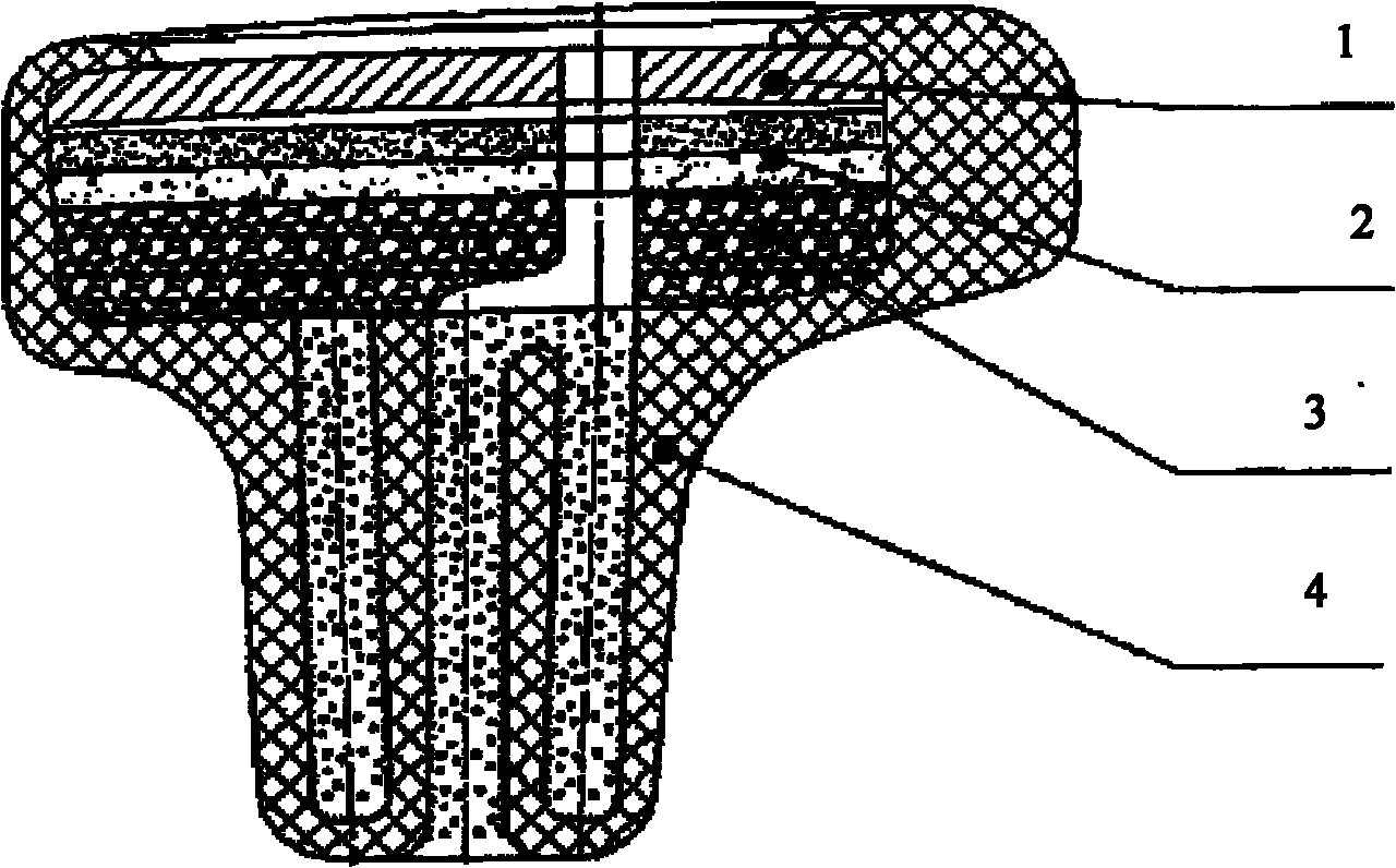 External auditory canal silencing ear plugs