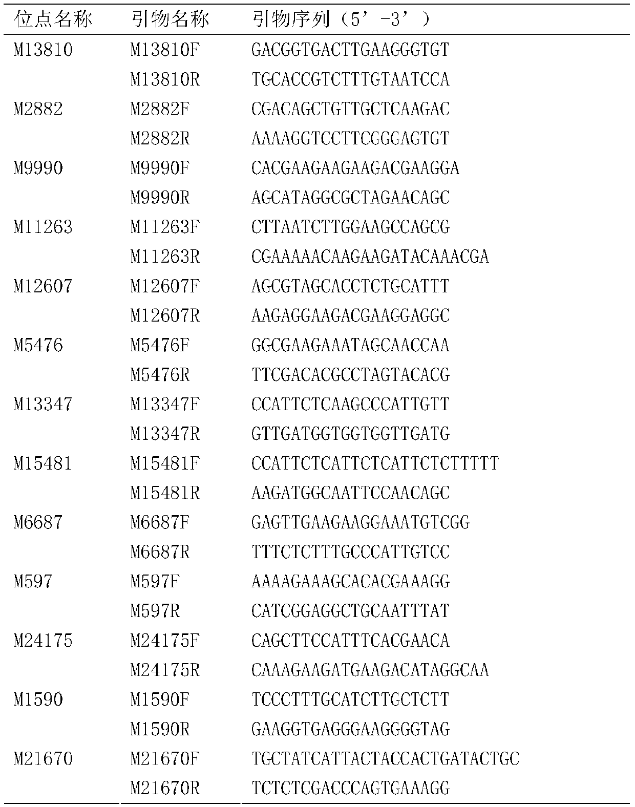 A combination of molecular markers for germplasm identification of Litopenaeus vannamei and its application