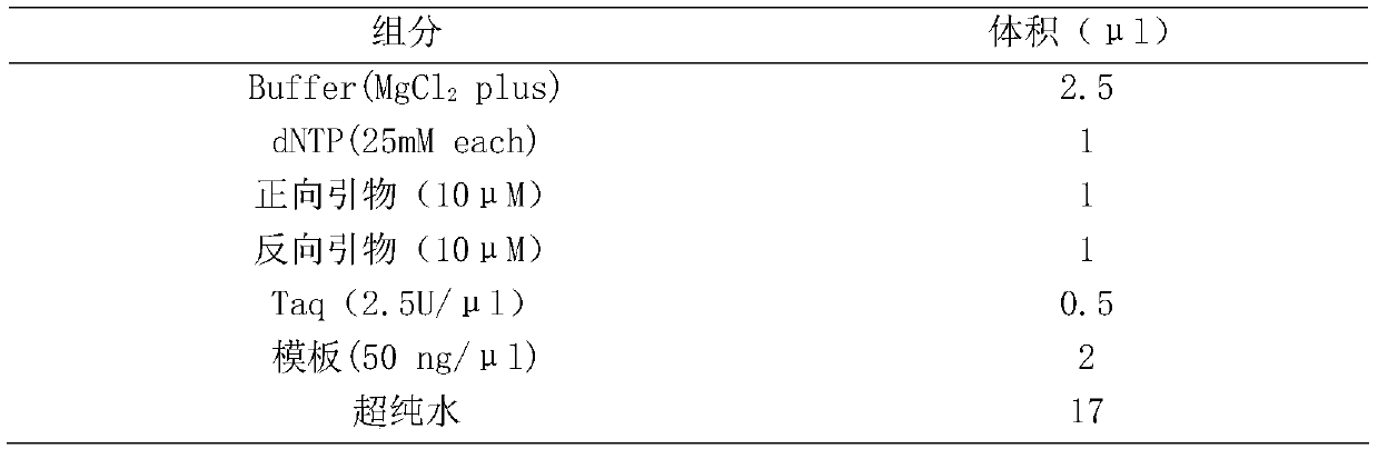 A combination of molecular markers for germplasm identification of Litopenaeus vannamei and its application