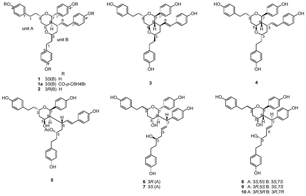 Diaryl heptane dimers, pharmaceutical composition thereof, and preparation method and application of two