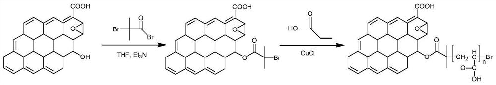 Brush polymer modified graphene oxide-immobilized capture receptor compound and application thereof in enrichment of monoclonal antibodies