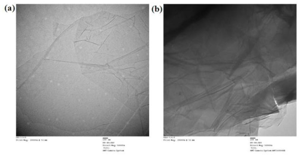 Brush polymer modified graphene oxide-immobilized capture receptor compound and application thereof in enrichment of monoclonal antibodies