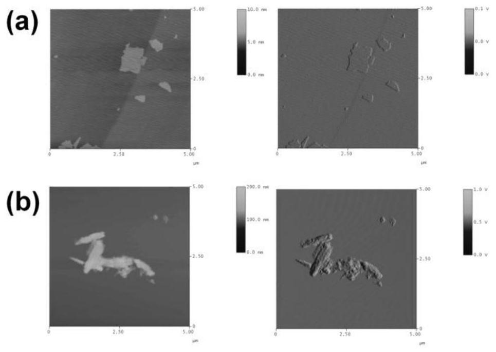 Brush polymer modified graphene oxide-immobilized capture receptor compound and application thereof in enrichment of monoclonal antibodies