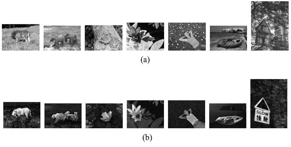 Image visual saliency detection method based on division method normalization