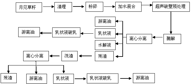 Evening primrose oil extraction method