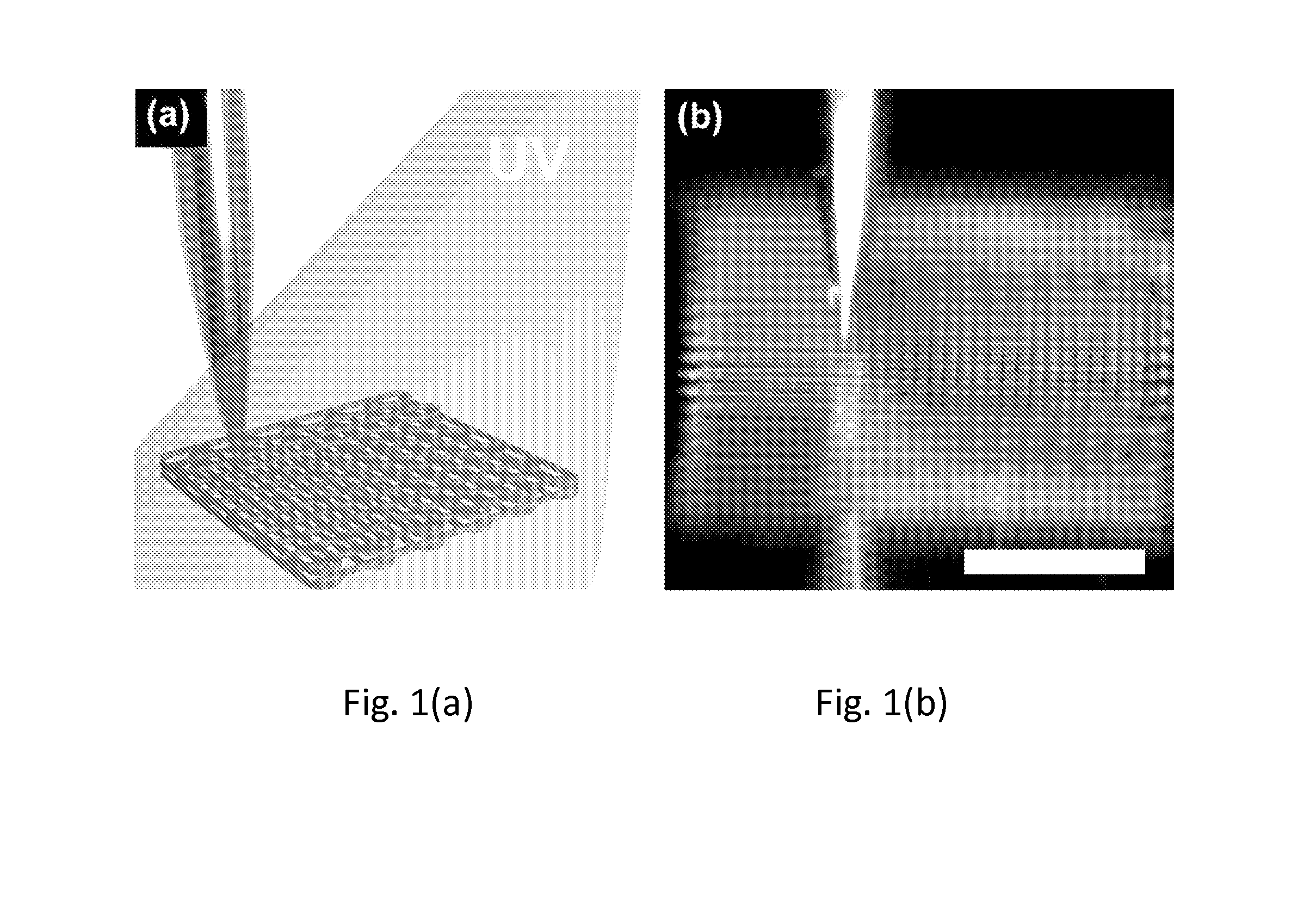 Viscoelastic ink for direct writing of hydrogel structures