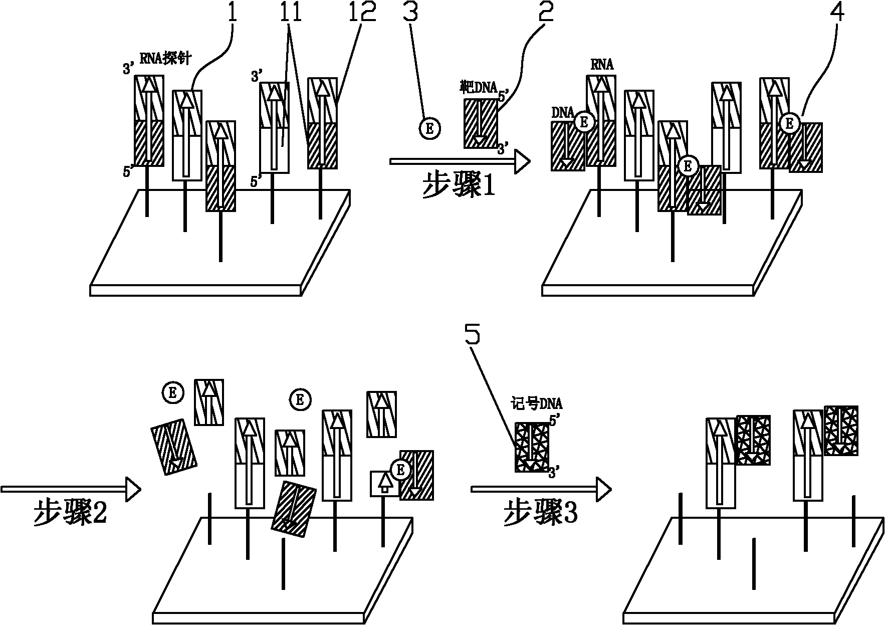 Method for detecting target DNA sequence, gene chip adopting same and application of gene chip