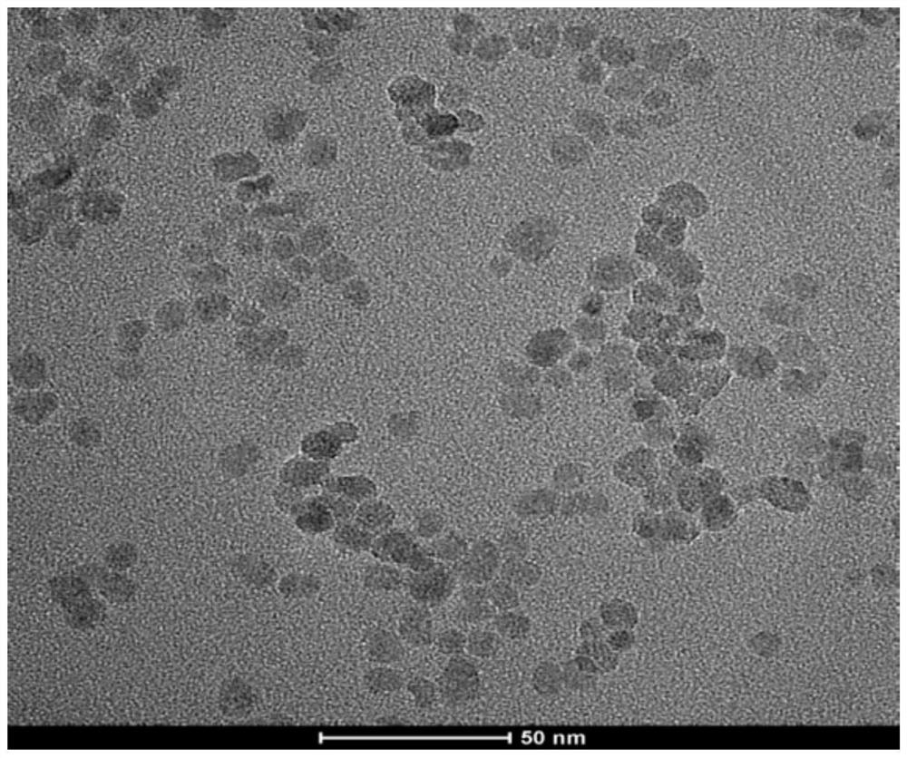 A kind of water-soluble terbium-doped calcium fluoride nanoparticles, preparation method and application thereof