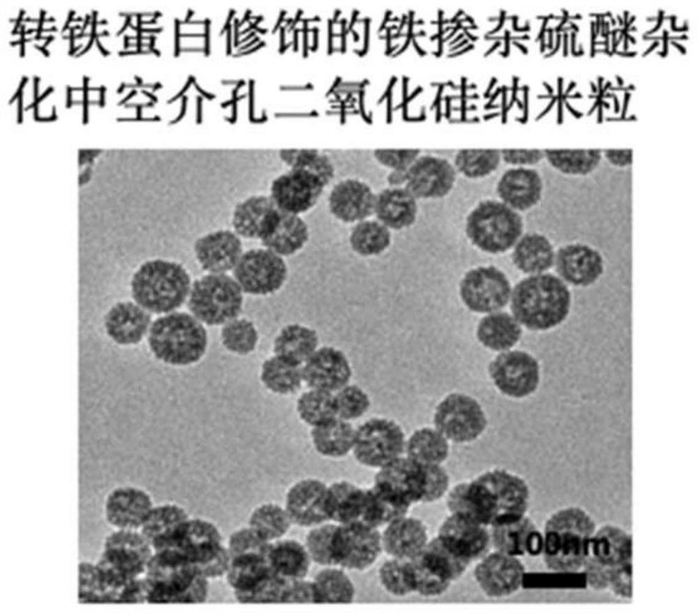 Iron-blocking magnetic nano-drug responding to tumor microenvironment, preparation method and application