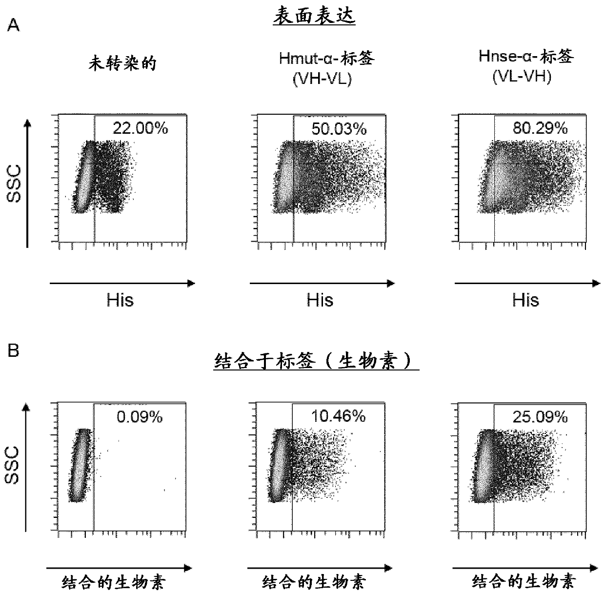 Adapter-based retroviral vector system for the selective transduction of target cells