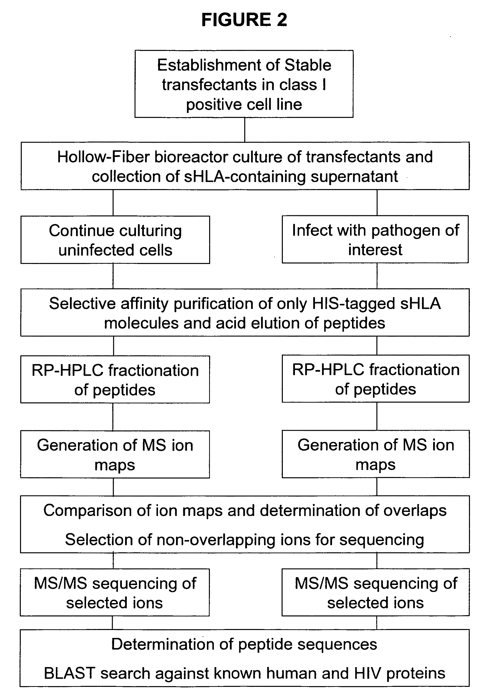 Comparative ligand mapping from MHC class I positive cells