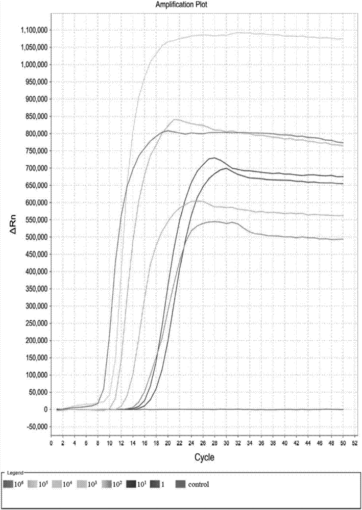 LAMP primer group for detecting enterobacter aerogenes, kit and rapid detection method