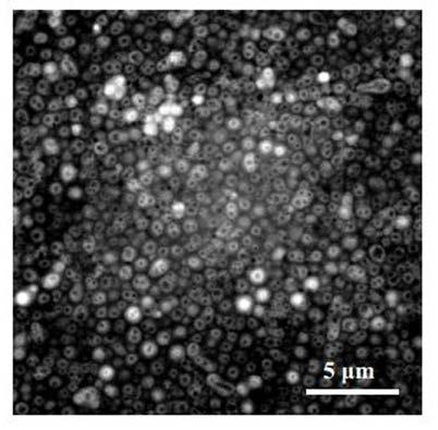 A catalyst with open hollow sphere structure and its preparation method and application