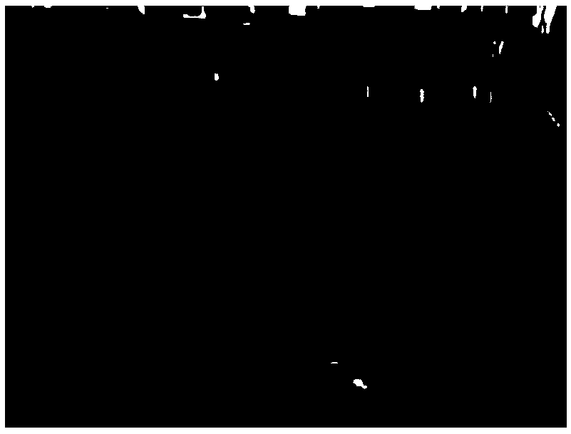 Plant-sourced pesticide micron emulsion used for preventing aphid and locust, and preparation method thereof