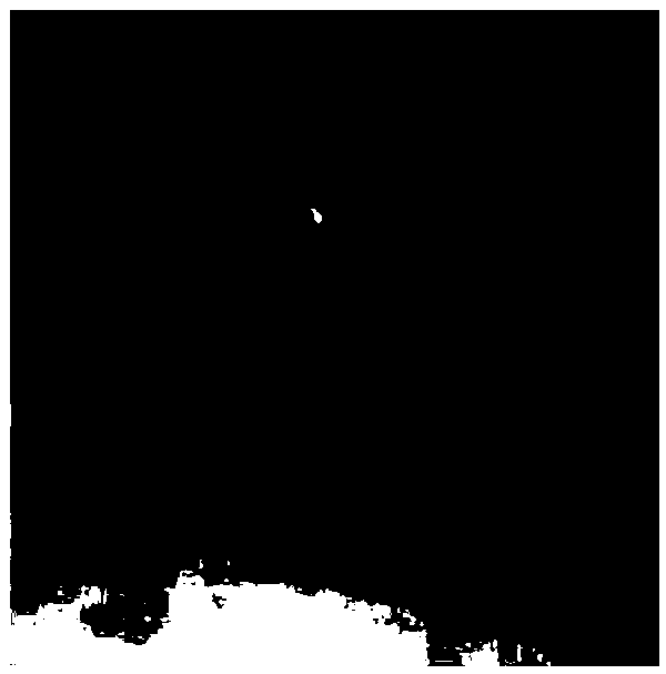 Plant-sourced pesticide micron emulsion used for preventing aphid and locust, and preparation method thereof