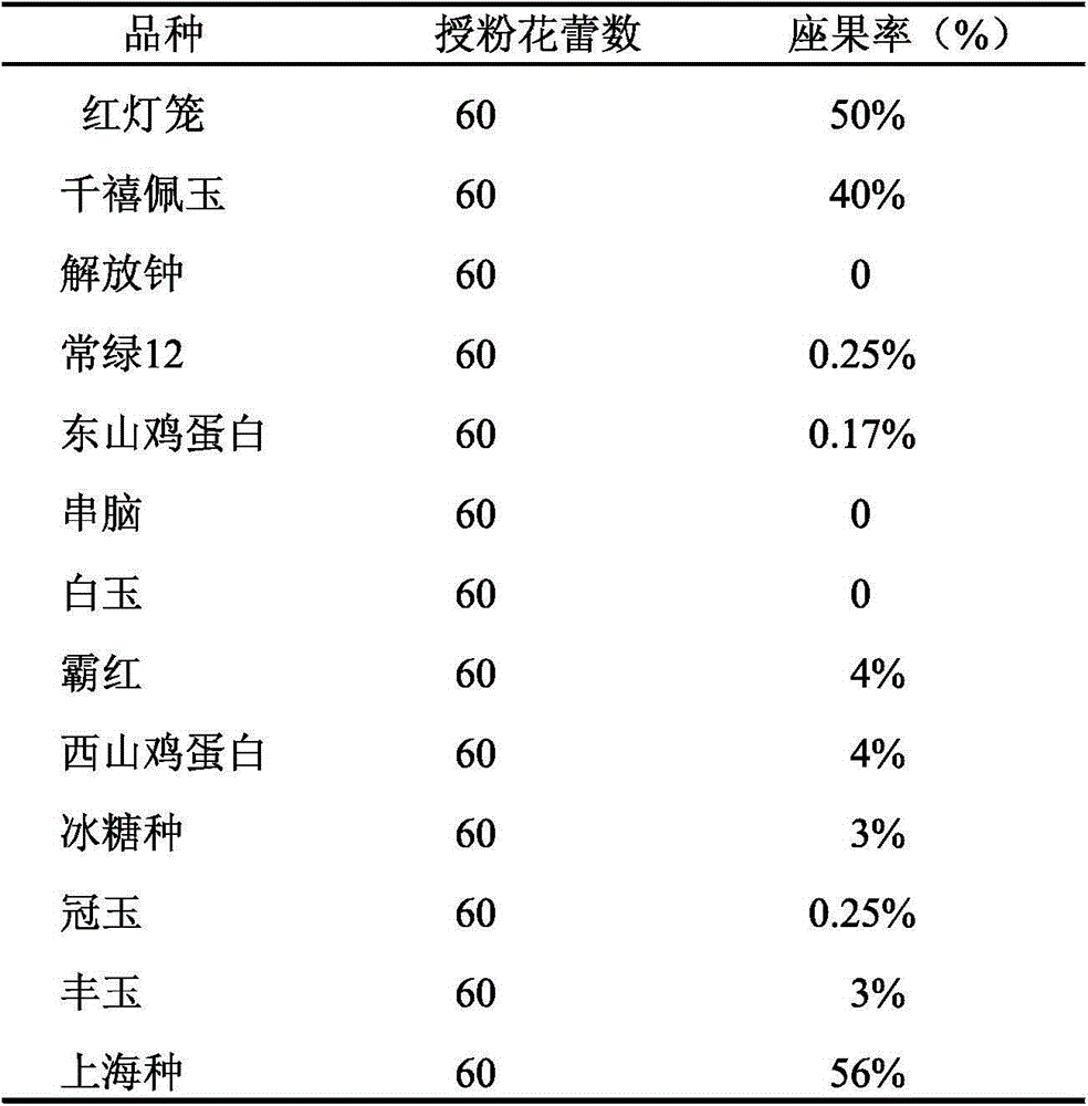 Rapid identification molecular marker of self-compatible variety of loquat, marker primer and identification method