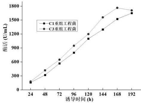 Chitosanase Csncv as well as mutant CsnB and application thereof