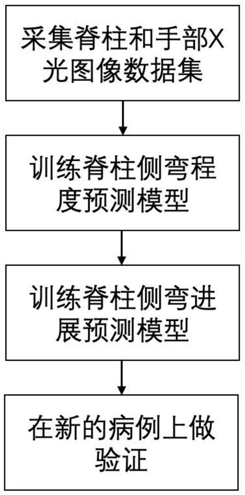 Scoliosis progress prediction method based on X-ray film and scoliosis progress prediction device based on X-ray film