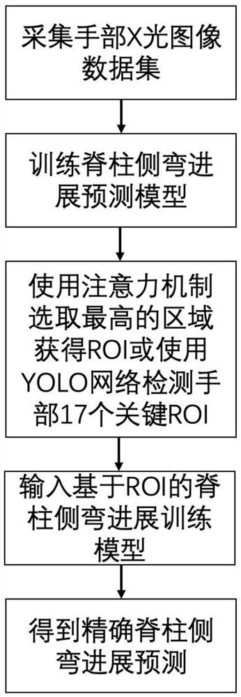 Scoliosis progress prediction method based on X-ray film and scoliosis progress prediction device based on X-ray film