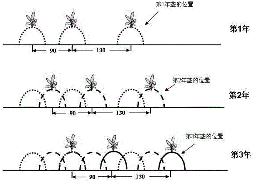 Rapid fertilization method for newly-prepared yellow soil tobacco field