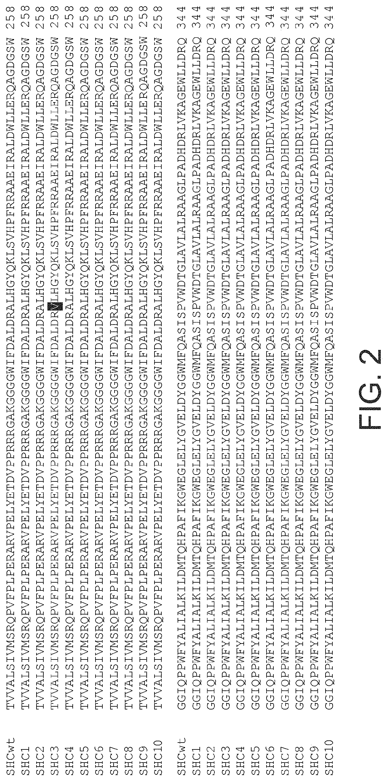 Enzymes and applications thereof