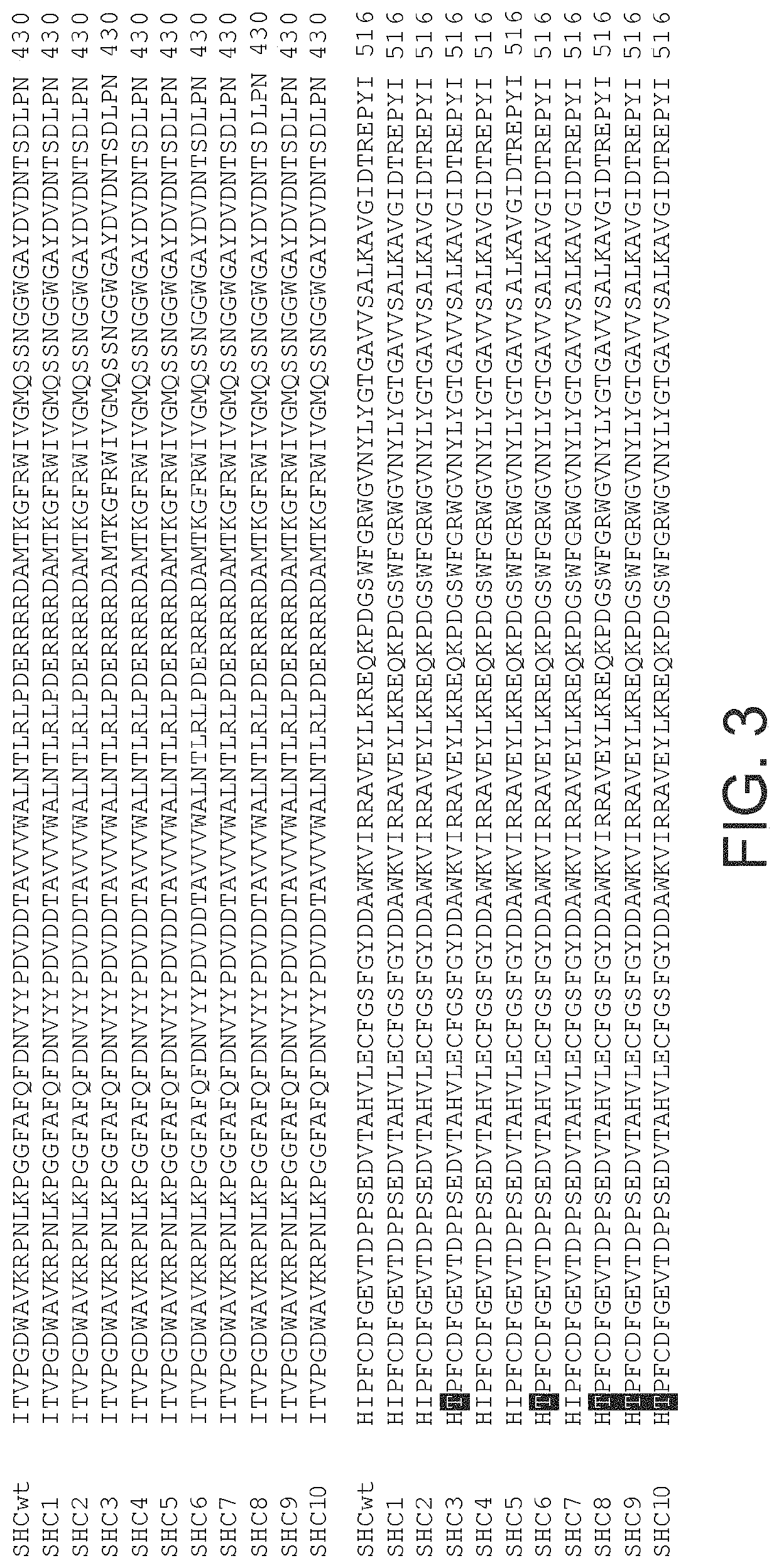 Enzymes and applications thereof