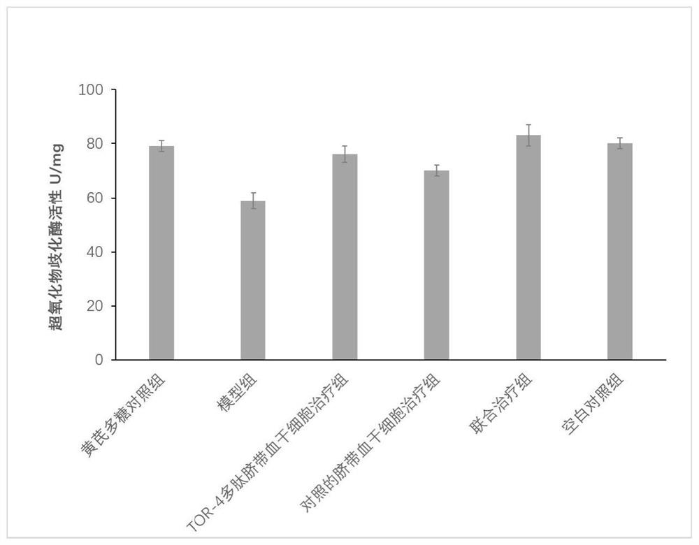 Application of umbilical cord stem cells in preparation of anti-aging medicines and related beauty products