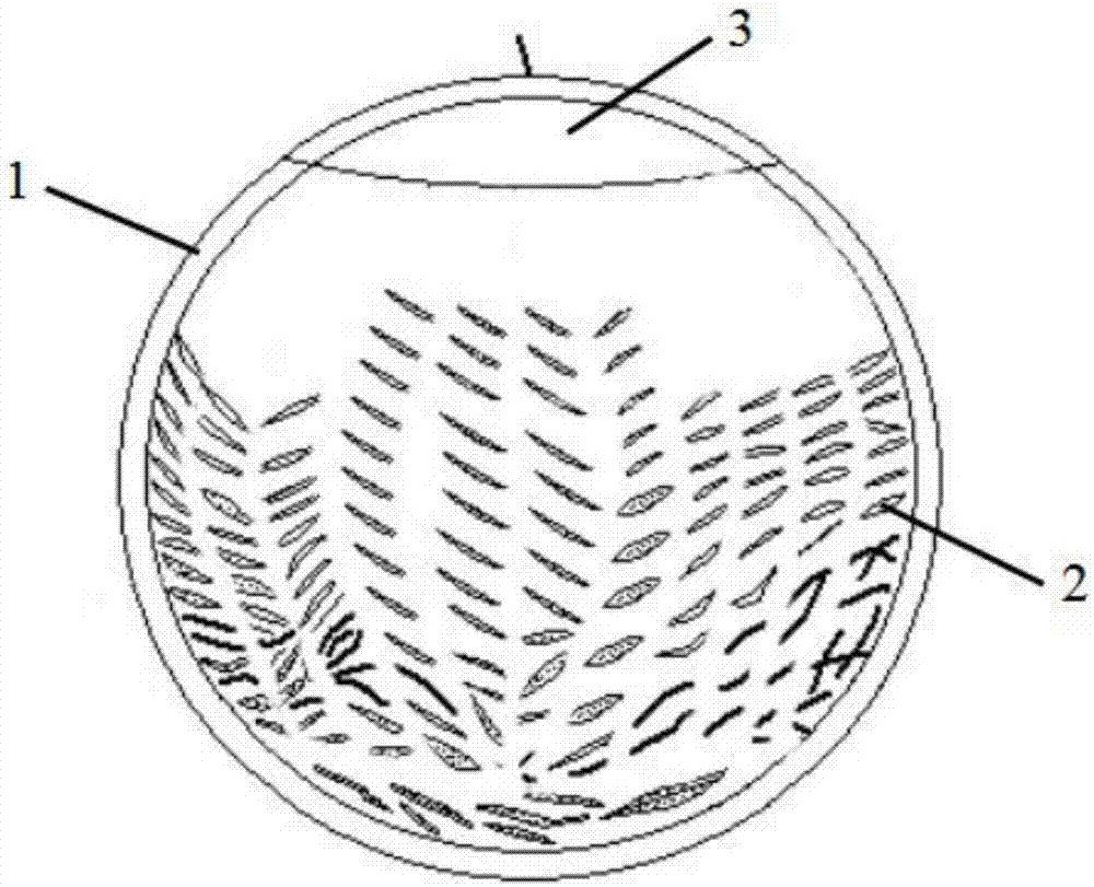 Ecological aloewood hesperidium tea and preparation method thereof